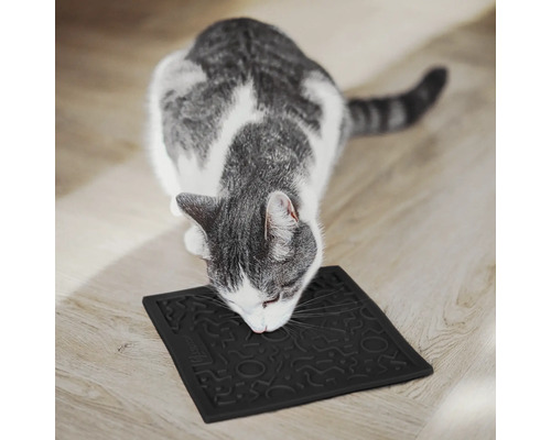 Graue Katze schnuppert an einem schwarzen Fressnapfunterleger mit Muster