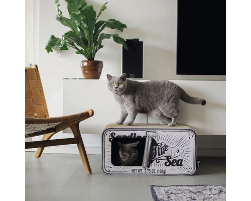 Katze auf Sardinen-Katzenhaus in einem Wohnzimmer