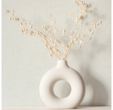 Dekorative Vase mit Pflanzenstängeln