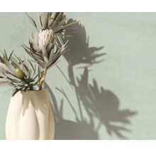 Dekorative Protea-Blume in einer weißen Vase