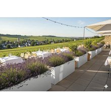 Terrasse mit Tisch, Stühlen, Sonnenschirm und Pflanzenkübeln mit Lavendel