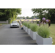 Reihe rechteckiger Pflanzkästen mit Ziergräsern und Zierlauch entlang einer Auffahrt, im Hintergrund ein Oldtimer und ein Pferd