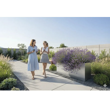 Gartenszene mit Frauen auf einem Weg, flankiert von einem Blumenkasten mit Lavendel