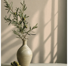 Dekorative Vase mit Olivenzweig und Oliven auf einer Oberfläche