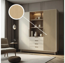 Modernes Wohnzimmer mit Schrankwand, Schubladen und Regalen