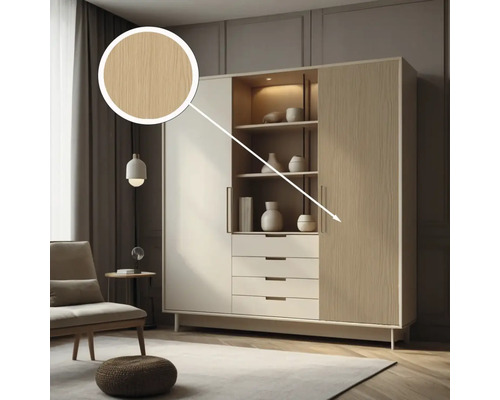 Modernes Wohnzimmer mit Schrankwand, Schubladen und Regalen