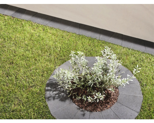 Grünfläche mit Rasen und bepflanzter Baumscheibe aus Betonpflastersteinen