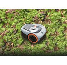 Mähroboter auf Rasen