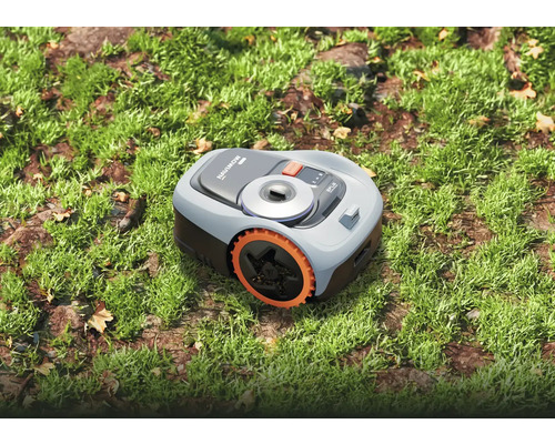 Mähroboter auf Rasen