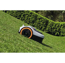 Rasenmähroboter auf einer Rasenfläche