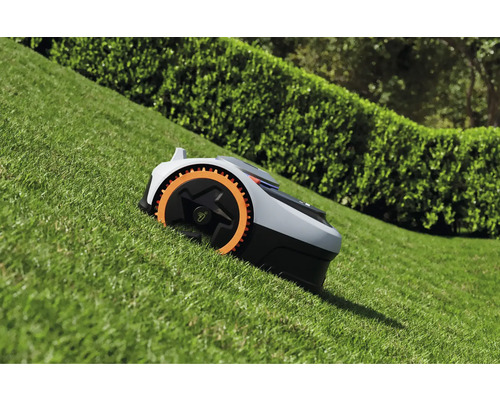 Rasenmähroboter auf einer Rasenfläche