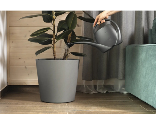 Gießkanne beim Gießen einer Zimmerpflanze in einem Topf