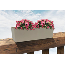 Blumenkasten mit rosa Blüten auf einer Holzbalustrade