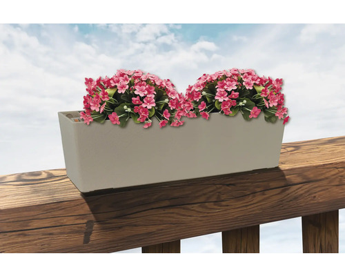 Blumenkasten mit rosa Blüten auf einer Holzbalustrade