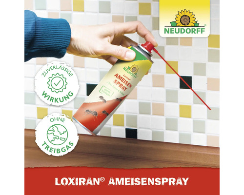 Eine Hand hält eine Dose Loxiran Ameisenspray von Neudorff mit rotem Sprührohr vor einem gefliesten Hintergrund. Das Produkt verspricht zuverlässige Wirkung und ist ohne Treibgas.