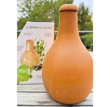 Bewässerungshilfe aus Terrakotta mit Produktverpackung im Hintergrund