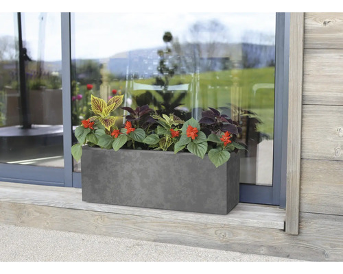 Rechteckiger Pflanzkasten mit Blumen vor einer Glastür