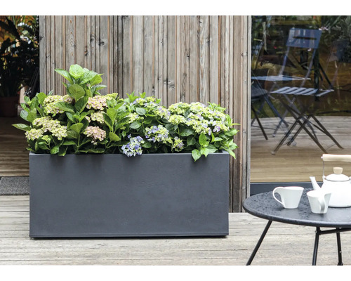 Blumenkasten mit Hortensien auf einer Terrasse