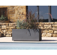 Rechteckiger Pflanzkasten mit Bepflanzung im Außenbereich.