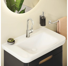 Badezimmer Waschbecken mit Armatur, Seifenspender, Handtuchhalter und Pflanze