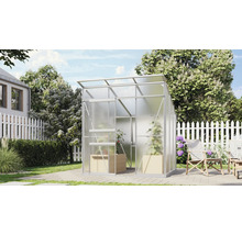 Gewächshaus mit Pflanzen im Garten