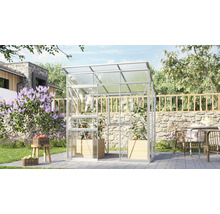 Gewächshaus im Garten mit Pflanzen und Gartenmöbeln.