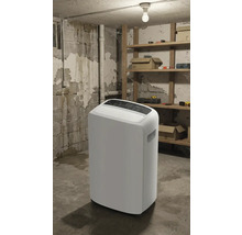 Weißer Luftentfeuchter in einem Kellerraum mit Regalen und Werkzeugen.