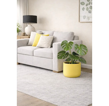 Wohnzimmer mit hellgrauem Sofa, Zierkissen und Monstera-Pflanze im gelben Topf auf einem hellgrauen Teppich.