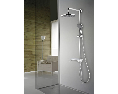Duschsystem mit Kopfbrause, Handbrause und Ablage im Badezimmer