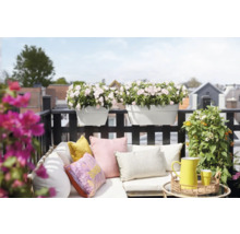 Balkonszene mit Blumenkästen, Kissen und Dekoration auf einem Balkon.