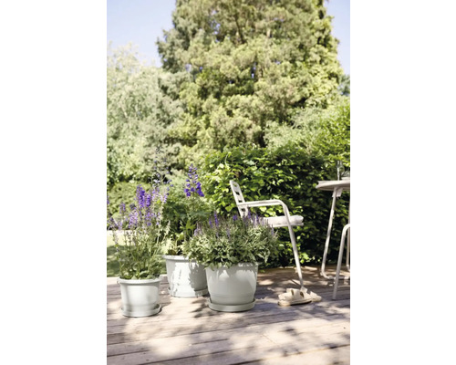 Szene im Garten mit Blumen in Pflanzgefäßen auf einer Holzterrasse