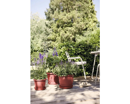 Terrassenszene mit Blumentöpfen und Gartenmöbeln