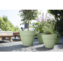 Szene mit bepflanzten Pflanzgefäßen auf einer Terrasse