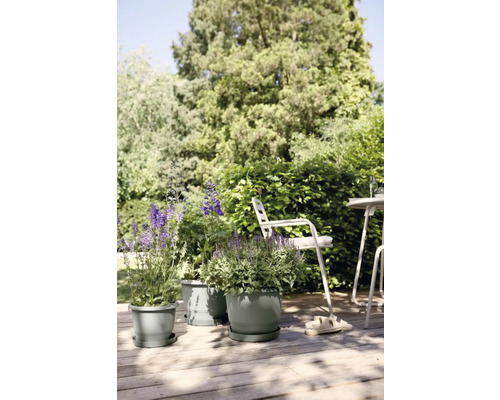 Gartenansicht mit Blumen in Blumentöpfen auf einer Holzterrasse