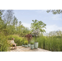 Gartenlandschaft mit bepflanzten Pflanzgefäßen auf einer Holzterrasse