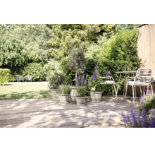 Garten mit Pflanzen in Blumentöpfen auf einer Holzterrasse und Sitzgruppe