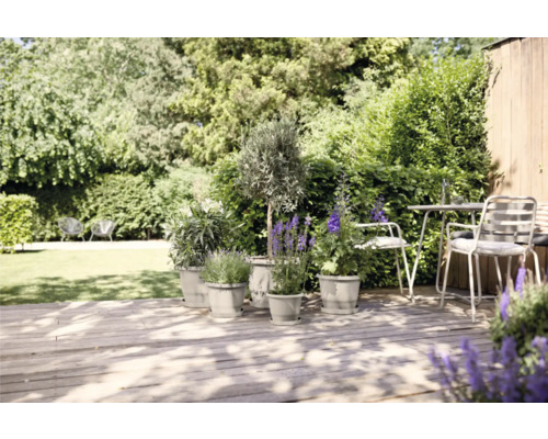 Garten mit Pflanzen in Blumentöpfen auf einer Holzterrasse und Sitzgruppe