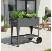 Hochbeet mit Rädern und Ablage im Außenbereich mit verschiedenen Pflanzen