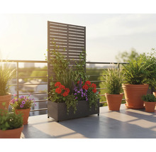 Terrasse mit bepflanztem Sichtschutzzaun und Blumentöpfen