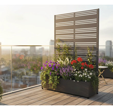 Blumenkasten mit Sichtschutzwand auf einem Balkon mit verschiedenen Blumen