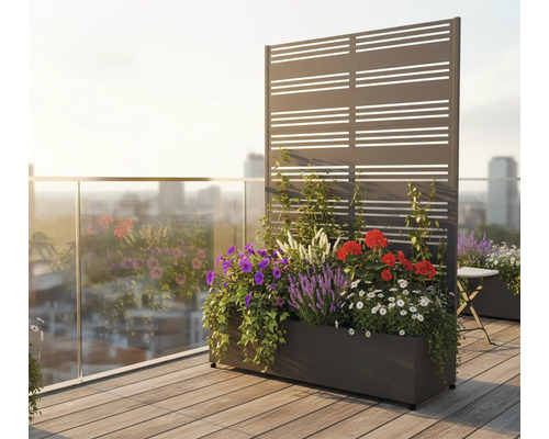 Blumenkasten mit Sichtschutzwand auf einem Balkon mit verschiedenen Blumen
