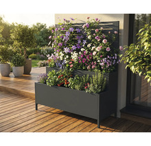 Mehrstöckiger Pflanzkasten aus Metall mit Spalier und verschiedenen Pflanzen auf einer Terrasse.