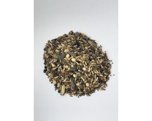 Haufen Vogelfutter mit verschiedenen Samen und Körnern