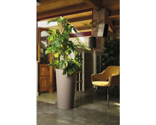 Innenraum mit Monstera-Pflanze in hohem Pflanzgefäß und Sessel