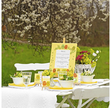 Gedeckter Gartentisch mit Menükarte, Blumen und Salatschalen für ein Buffet im Freien.