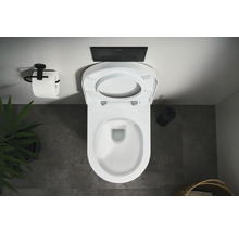 Aufnahme von oben einer Toilette mit offenem Toilettendeckel, Betätigungsplatte und Toilettenpapierhalter