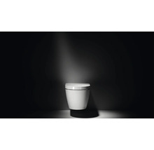 Wand-Tiefspülklosett mit geschlossenem Design