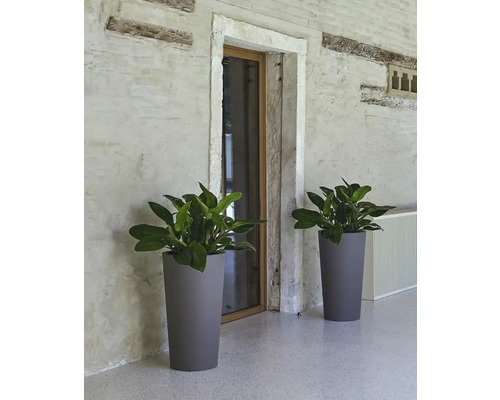 Zwei hohe Pflanzgefäße mit Pflanzen vor einer Wand und Tür