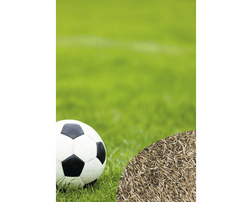 Fußball und Rasensamen auf Rasenfläche