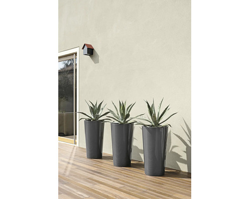 Drei schlanke Pflanzgefäße mit Agavenpflanzen auf einer Terrasse vor einer Hauswand